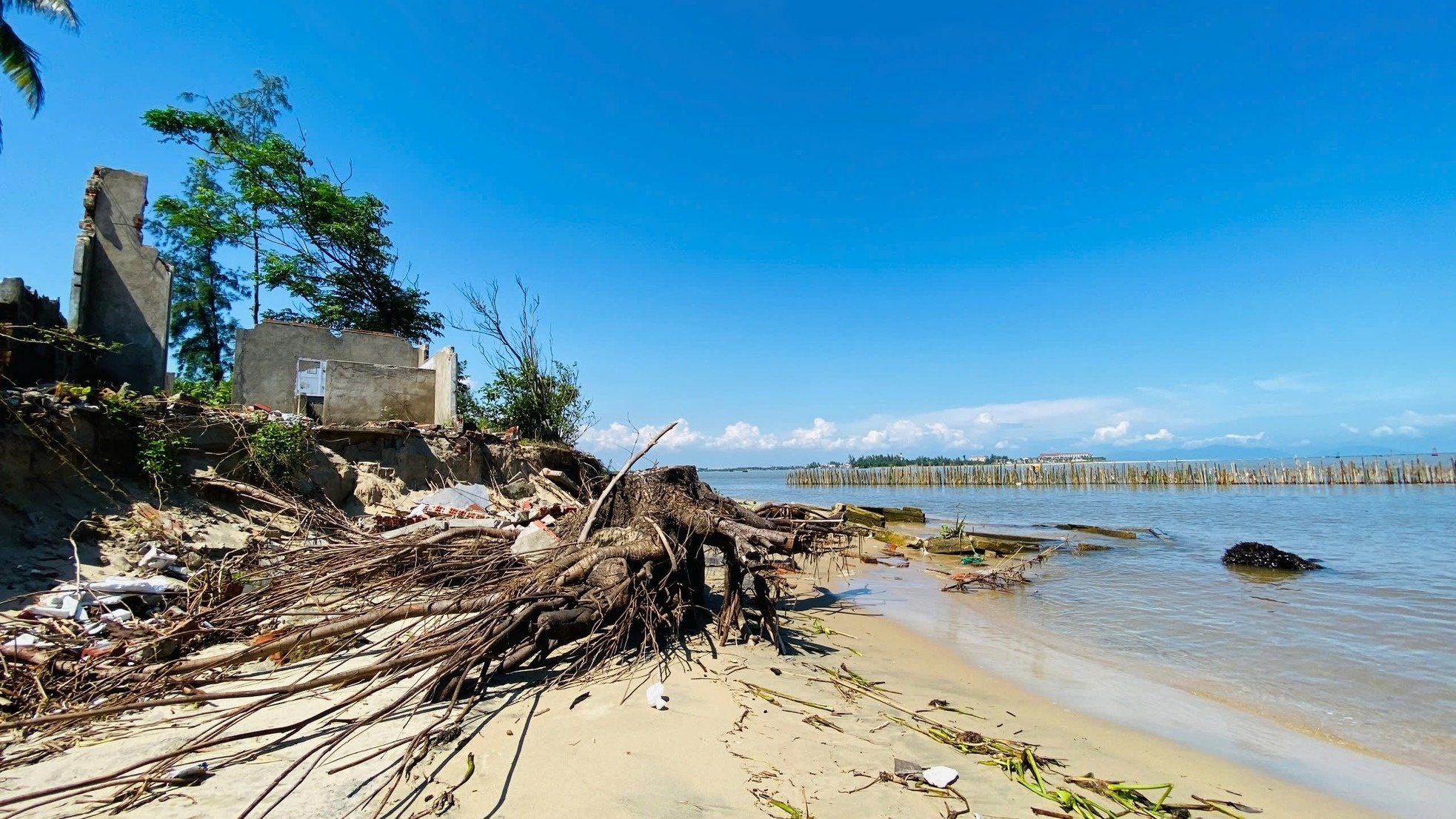 Xâm thực ảnh 6 Xam thuc anh 6