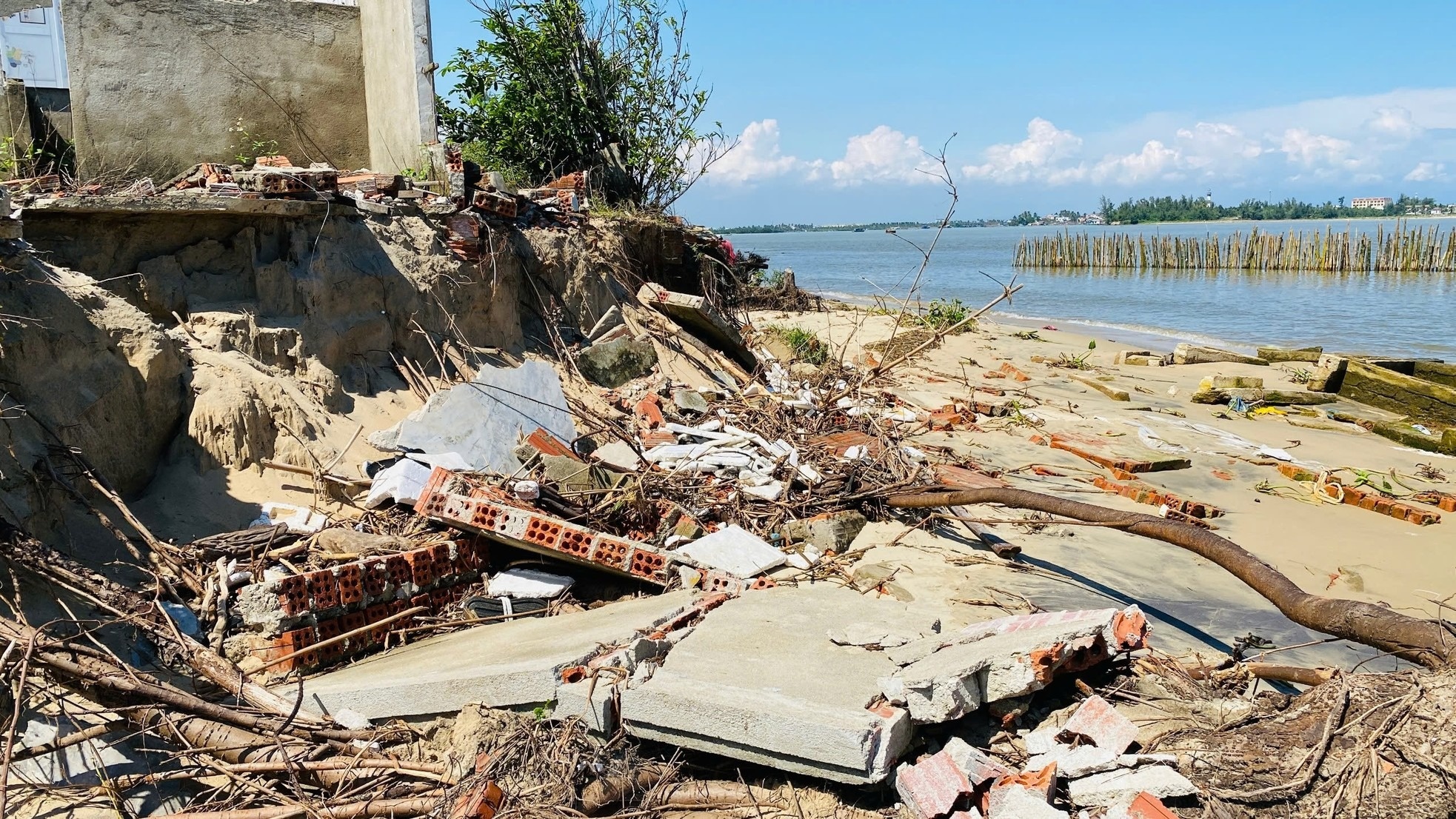 Xâm thực ảnh 7 Xam thuc anh 7