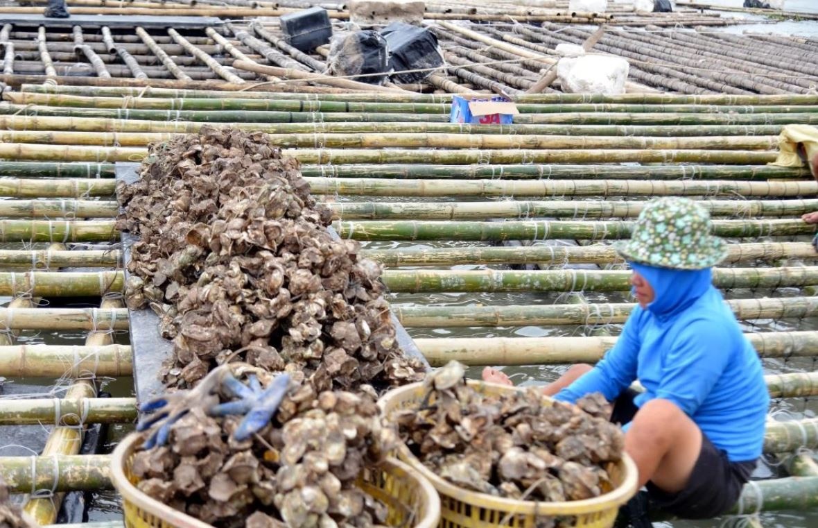 Han Quoc ho tro 1 trieu USD giup Viet Nam khac phuc hau qua bao Yagi hinh anh