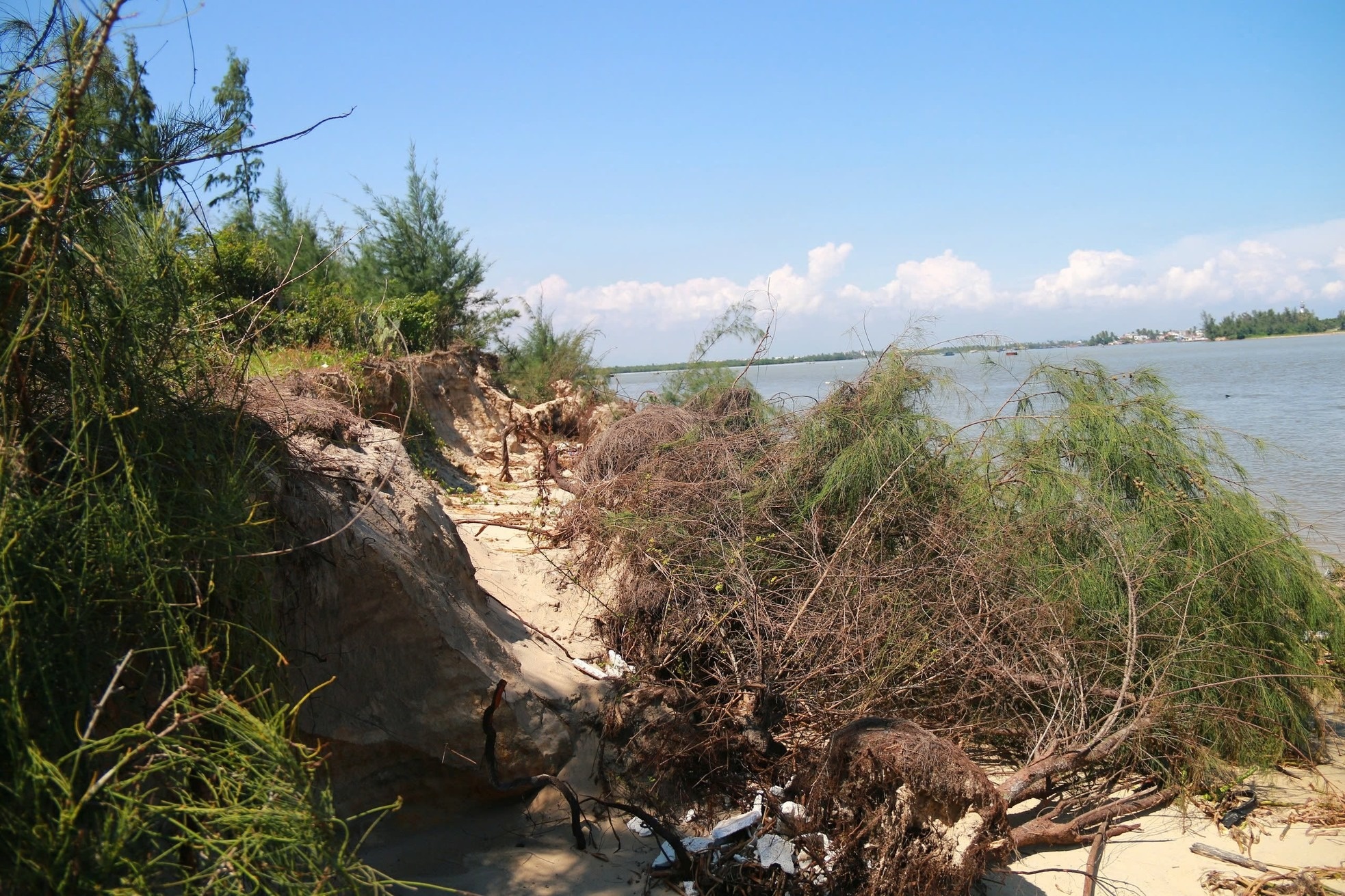 Xâm thực ảnh 8 Xam thuc anh 8