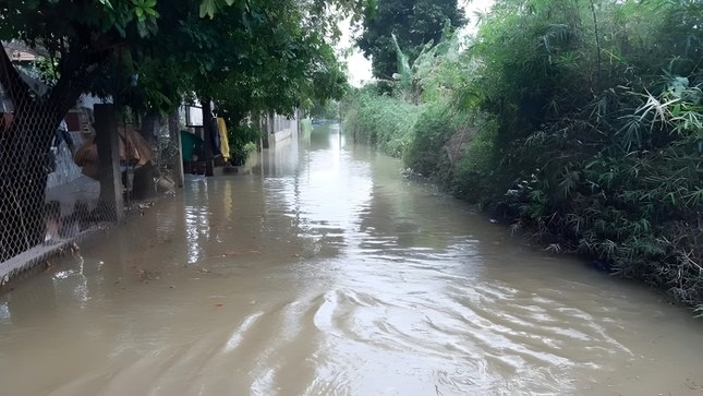 Mua lon tai Hue anh 1