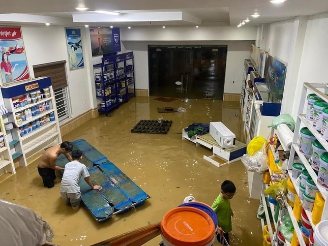 Bao Tra Mi Quang Binh anh 1