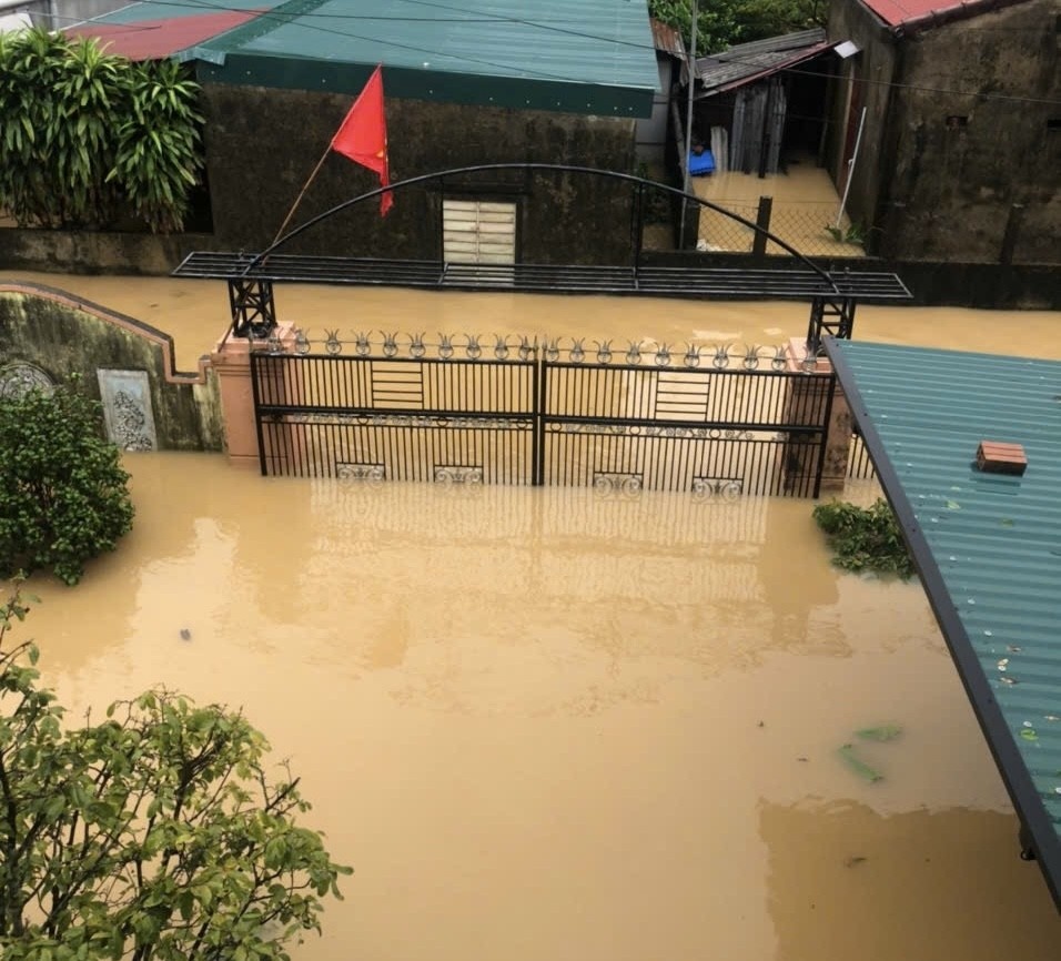 Bao Tra Mi Quang Binh anh 2