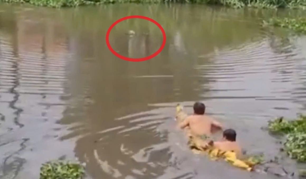 Hai nguoi dan ong o TP.HCM lao xuong kenh cuu nguoi phu nu dinh tu tu hinh anh