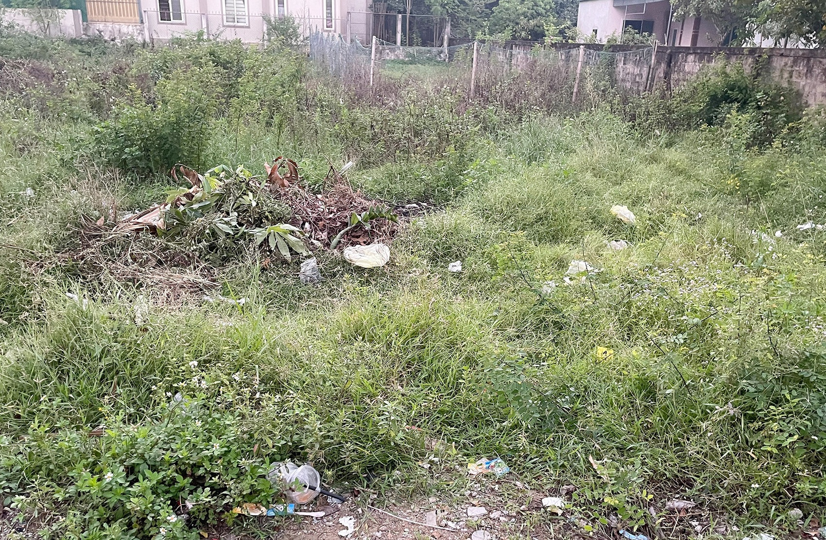 Nguyễn Thành Huy Nghệ An ảnh 1 Nguyen Thanh Huy Nghe An anh 1