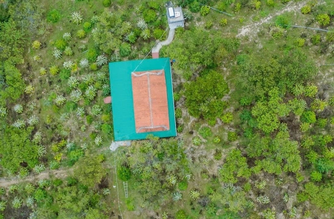 Tin moi ve khu tinh that cua vo chong lua dao 'tu thanh tien' hinh anh