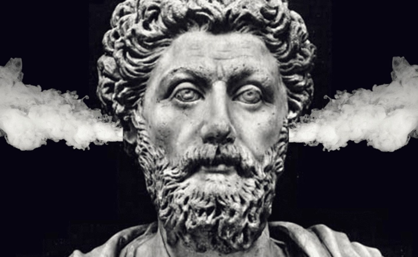 Chien luoc quan ly con gian duoc duc ket qua 2000 nam thuc hanh (P1) hinh anh