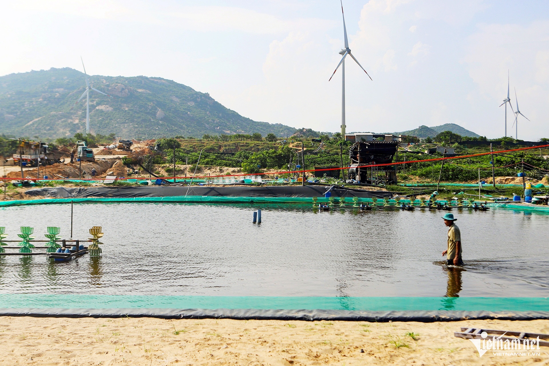 Dien hat nhan Ninh Thuan anh 4