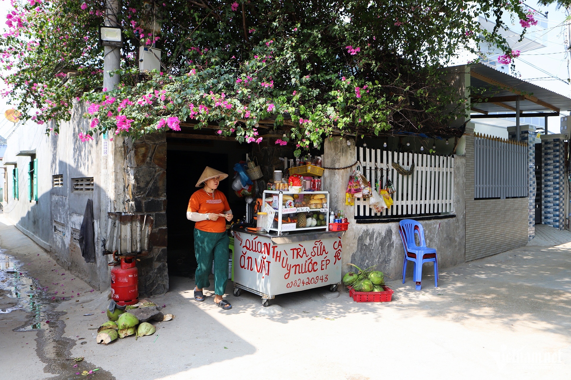 Dien hat nhan Ninh Thuan anh 5