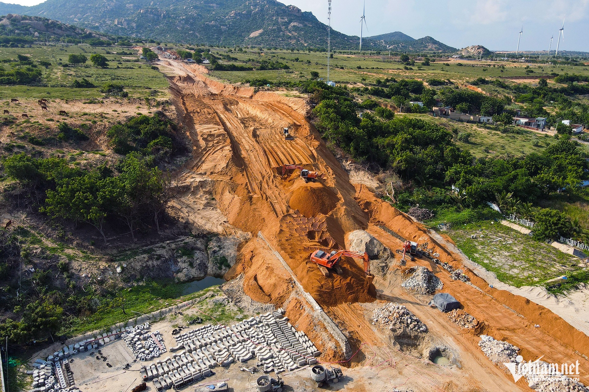 Dien hat nhan Ninh Thuan anh 6