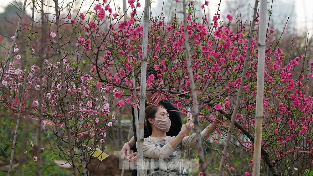 nghi Tet 9 ngay anh 1