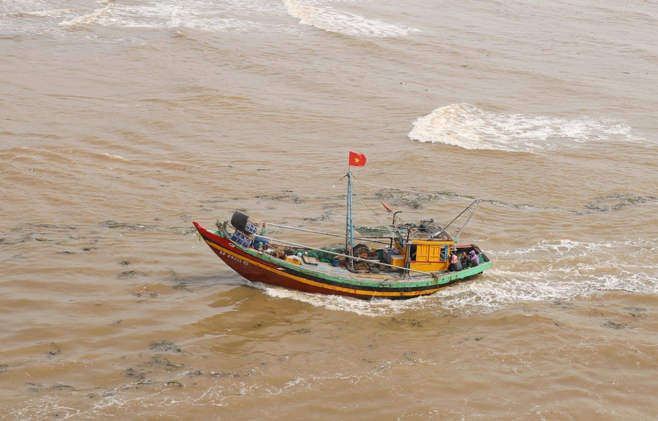 Bao so 7 Yinxing anh 2