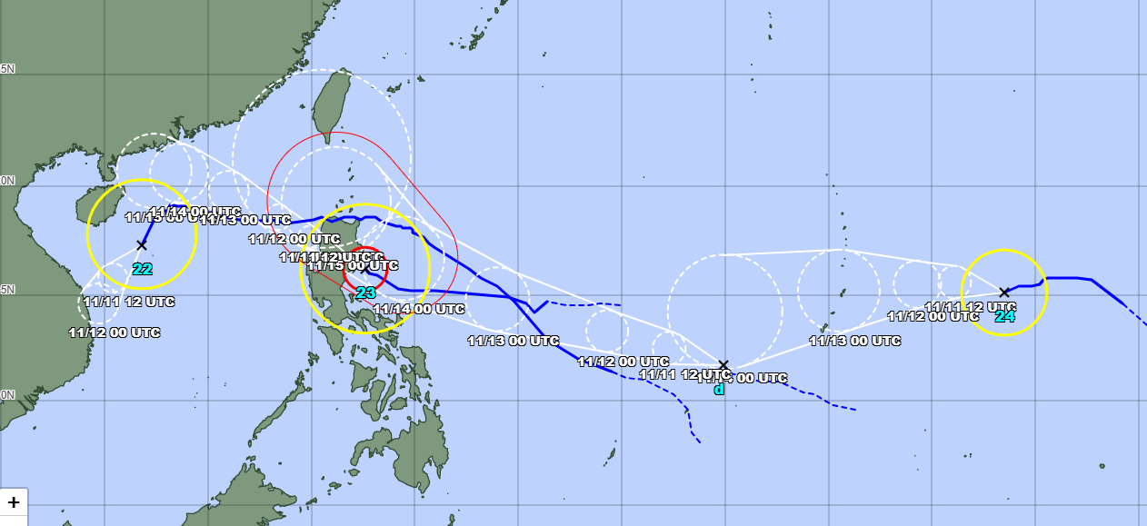 bao Yinxing bao Toraji anh 5