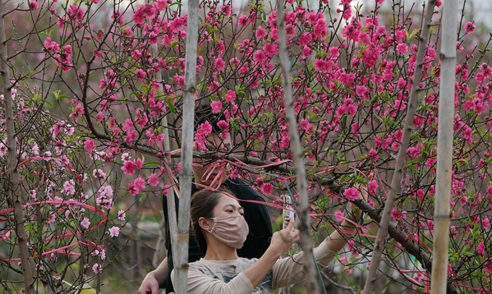 Bo Lao dong bao cao Thu tuong lich nghi Tet 9 ngay lien tiep hinh anh