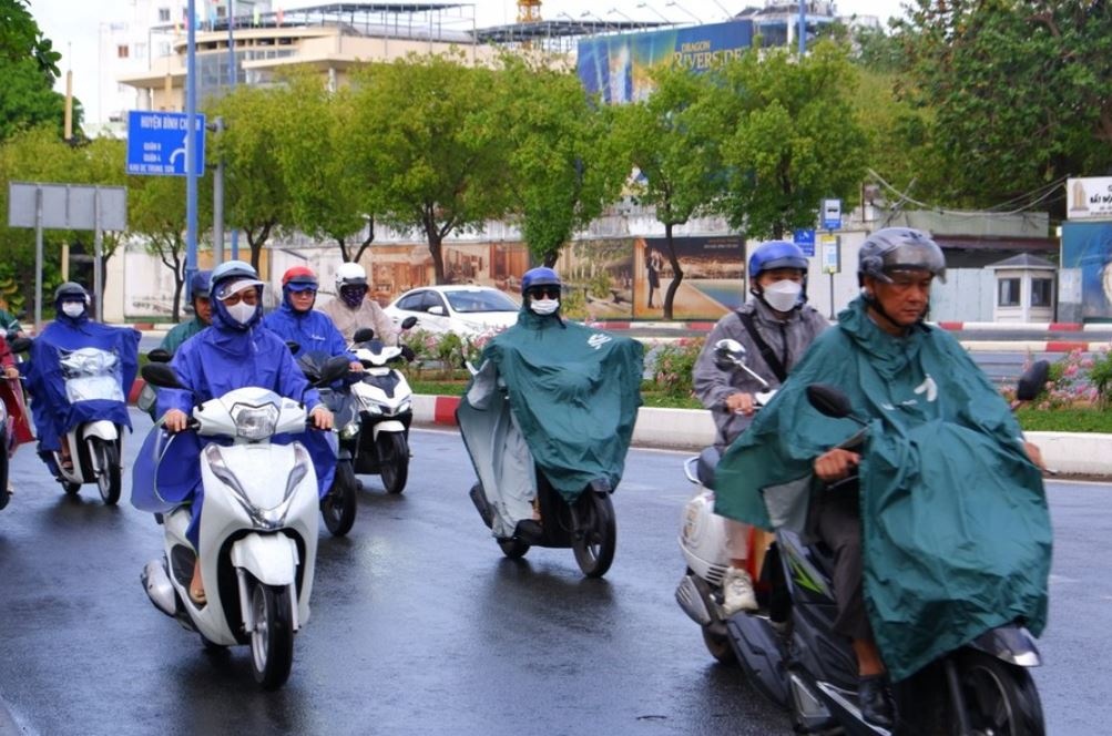 TP.HCM mua giam dan hinh anh