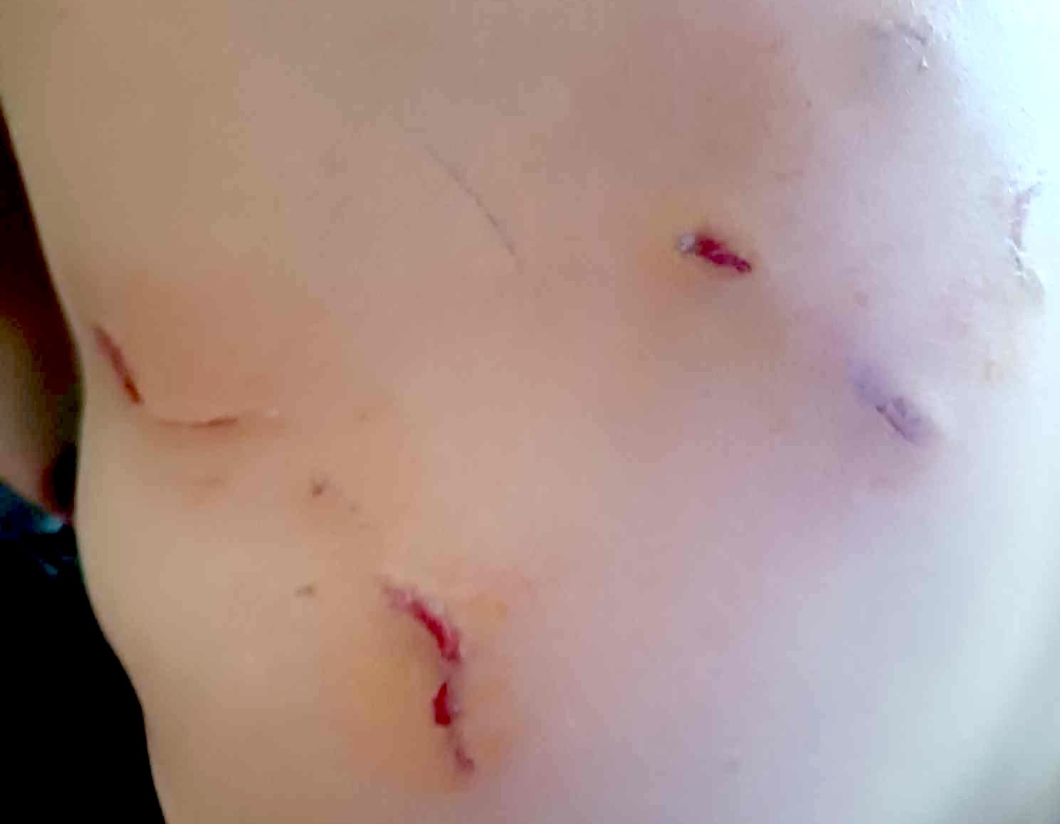 Vooc quy hiem Phong Nha anh 2