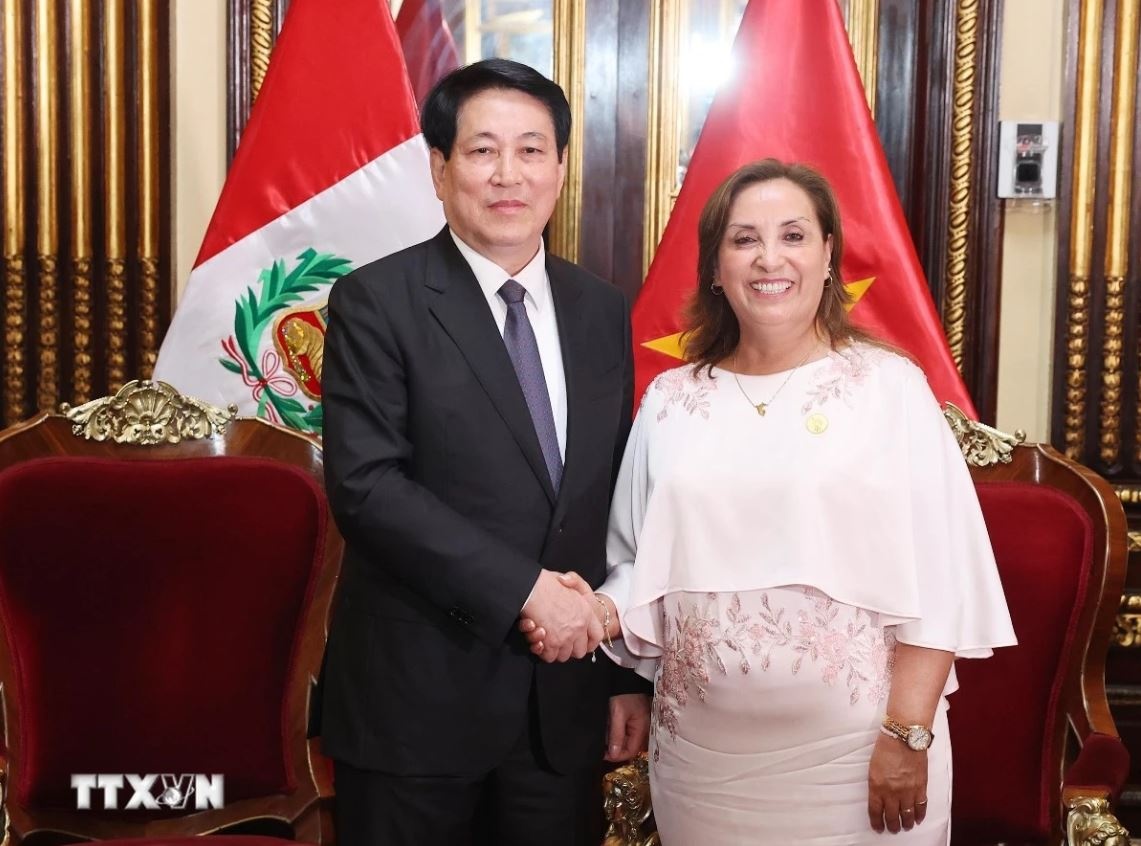 Chu tich nuoc Luong Cuong anh 1