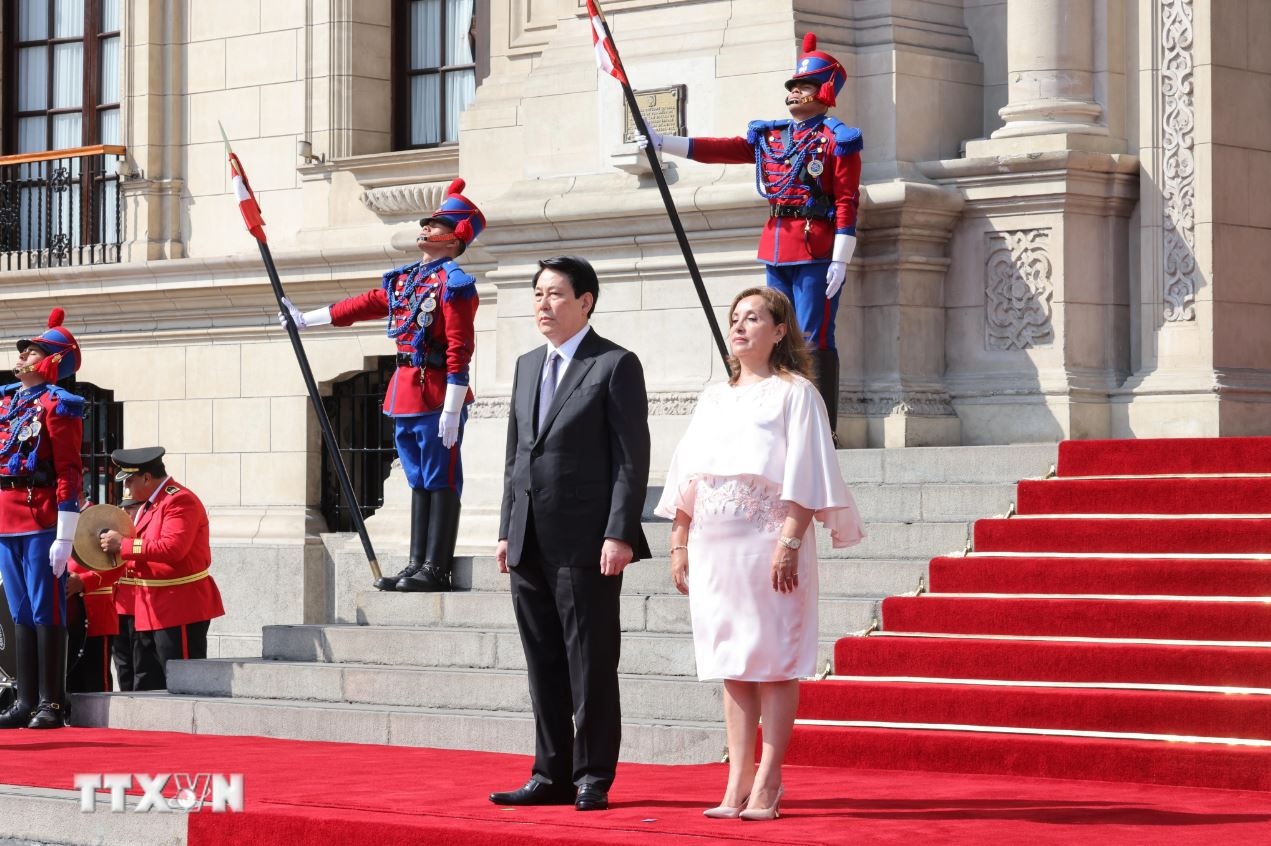 Chu tich nuoc Luong Cuong anh 2