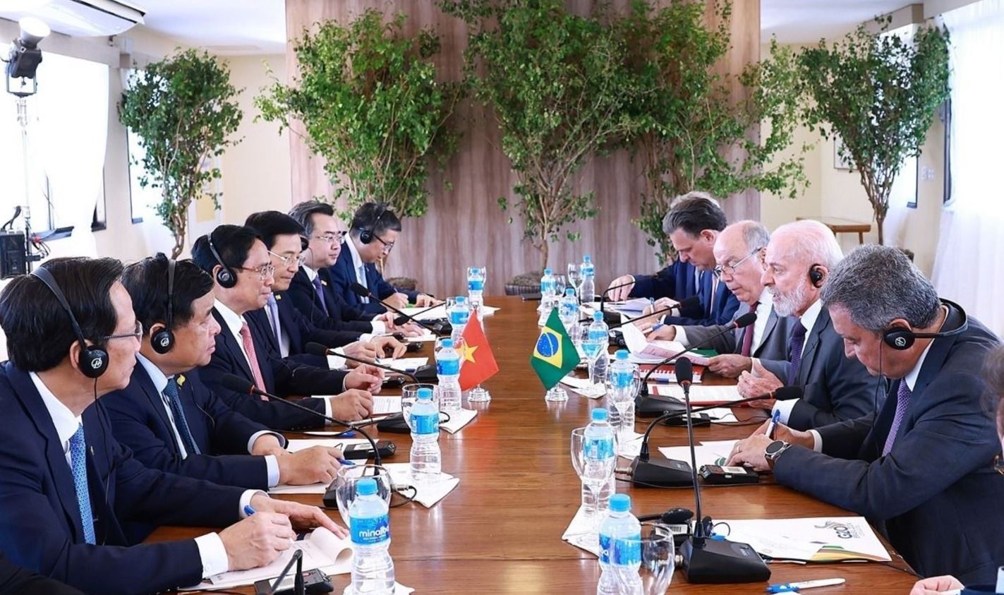 Tuyen bo chung Viet Nam - Brazil hinh anh