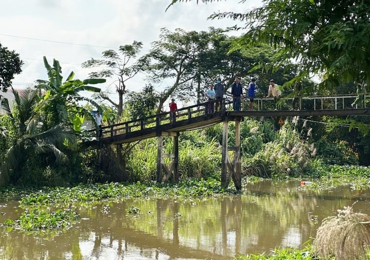 Truy bat ca sau noi tren song Bang Lang, Long An hinh anh