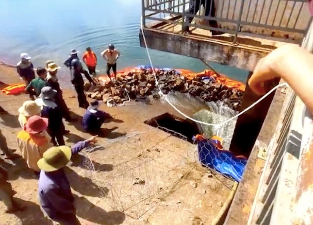 Thiet hai sau vu lo thung tren than dap thuy loi o Gia Lai hinh anh