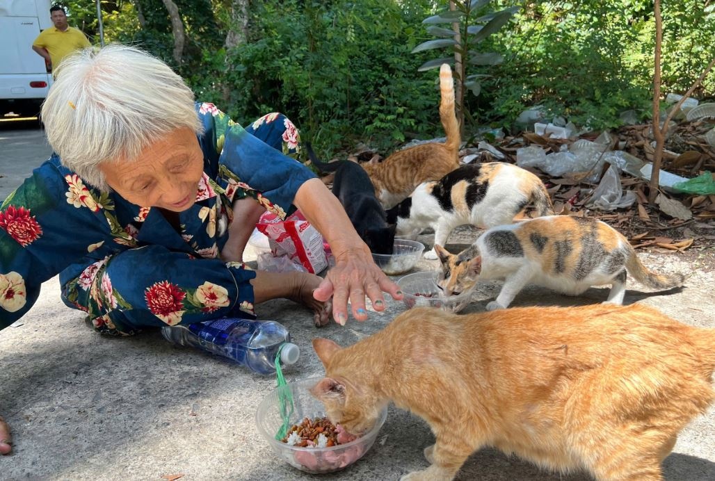 Cu ba chi an com khong, danh tien nuoi 'dan con' o Thao Cam vien hinh anh