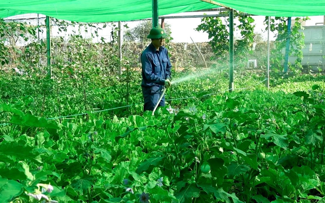 Bo doi Viet Nam trong rau giua long chao chau Phi hinh anh