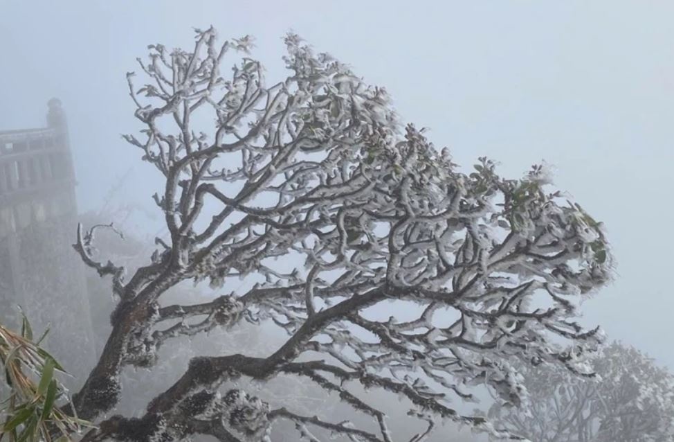 Bac Bo sap don dot khong khi lanh cuc manh hinh anh