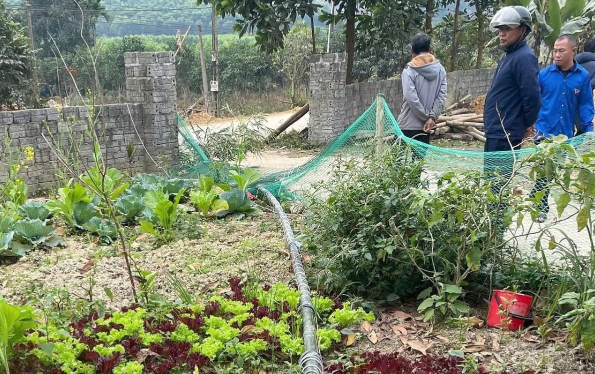 Dung cay neu don Tet, mot nguoi bi dien giat tu vong hinh anh