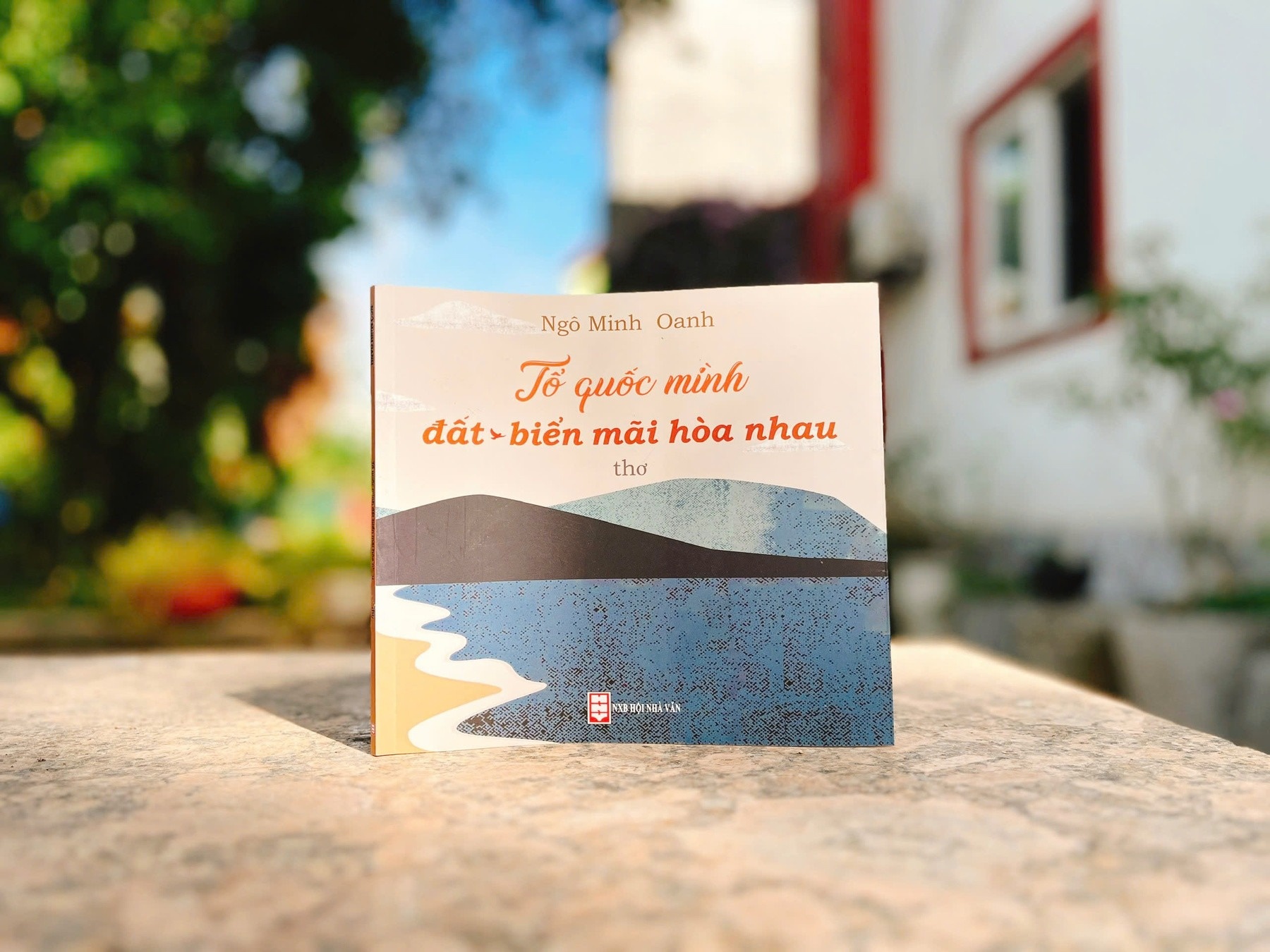 'To quoc minh dat bien mai hoa nhau' khoi day long yeu nuoc hinh anh