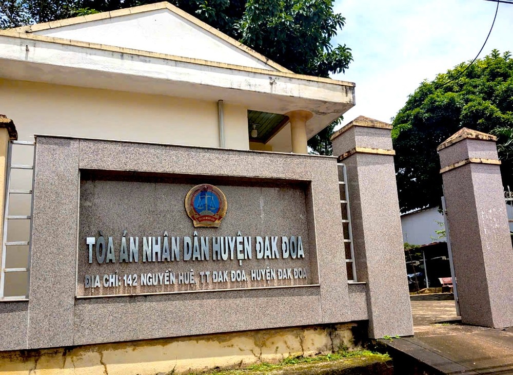 Nguyễn Duy Sâm Gia Lai ảnh 1 Nguyen Duy Sam Gia Lai anh 1
