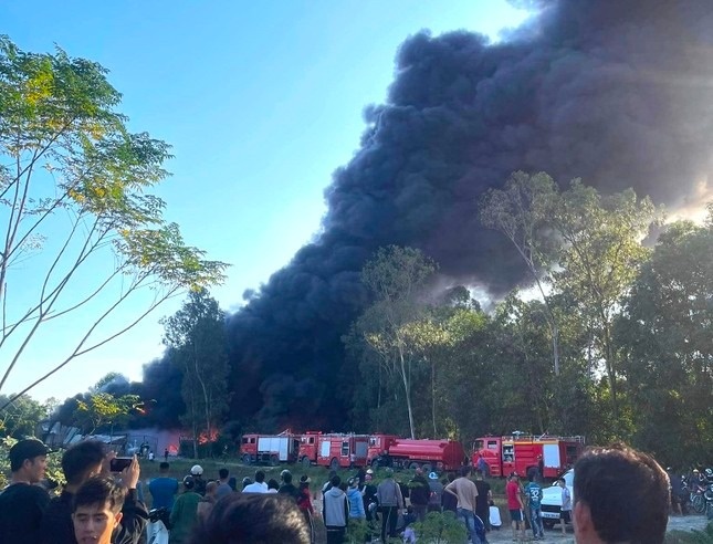 Chay kho phe lieu anh 1