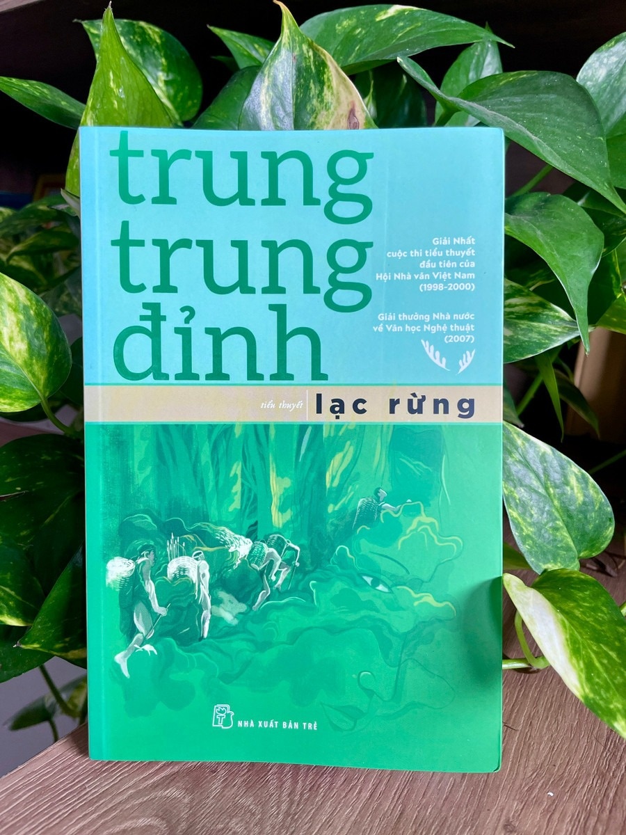 Trung Trung Dinh anh 2