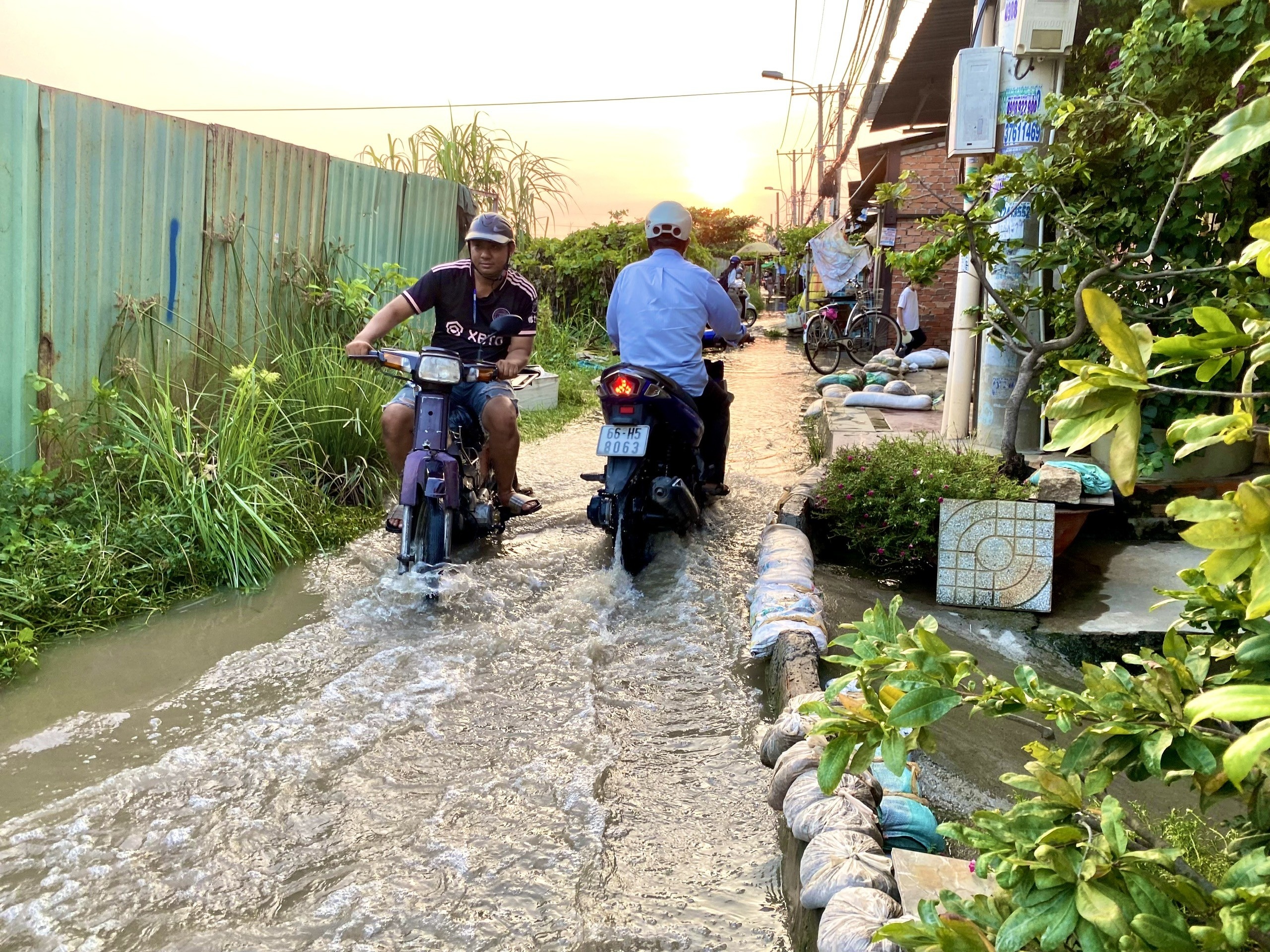 TP.HCM trieu cuong dat dinh anh 1