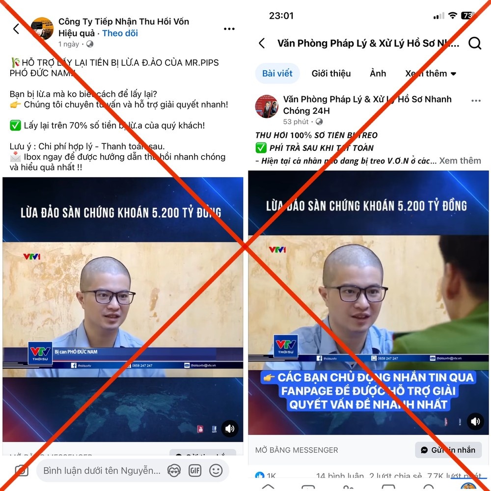 Pho Duc Nam Mr Pips anh 1