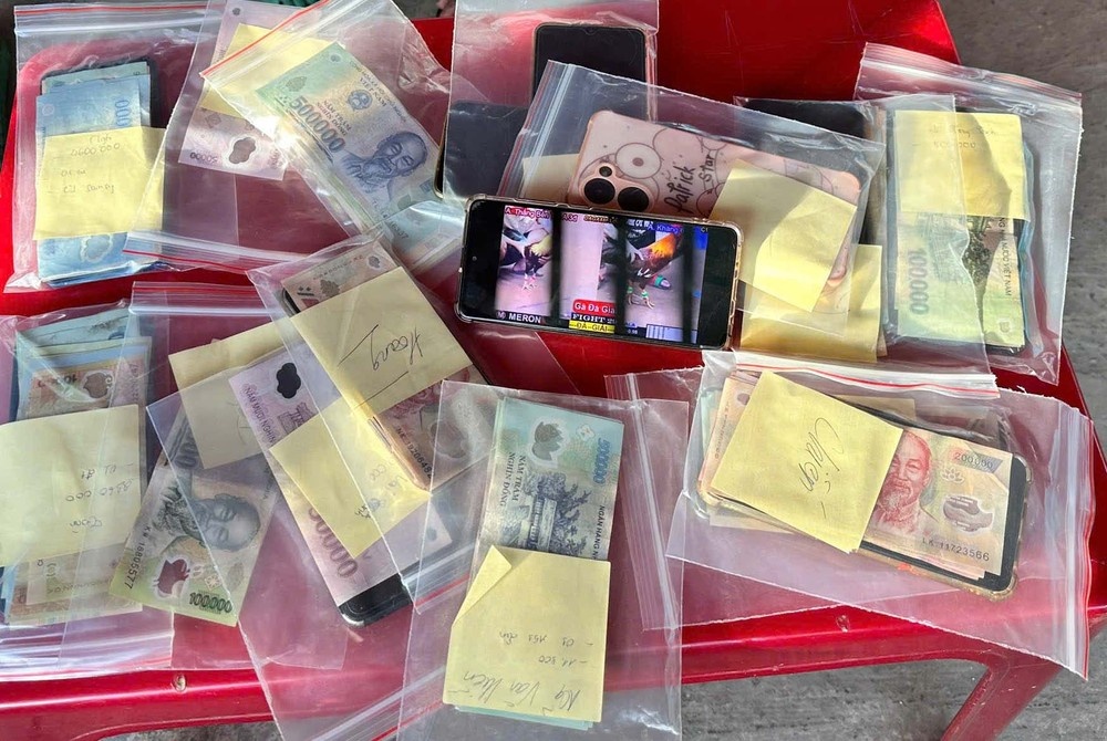 Soi bac Vinh Long anh 1