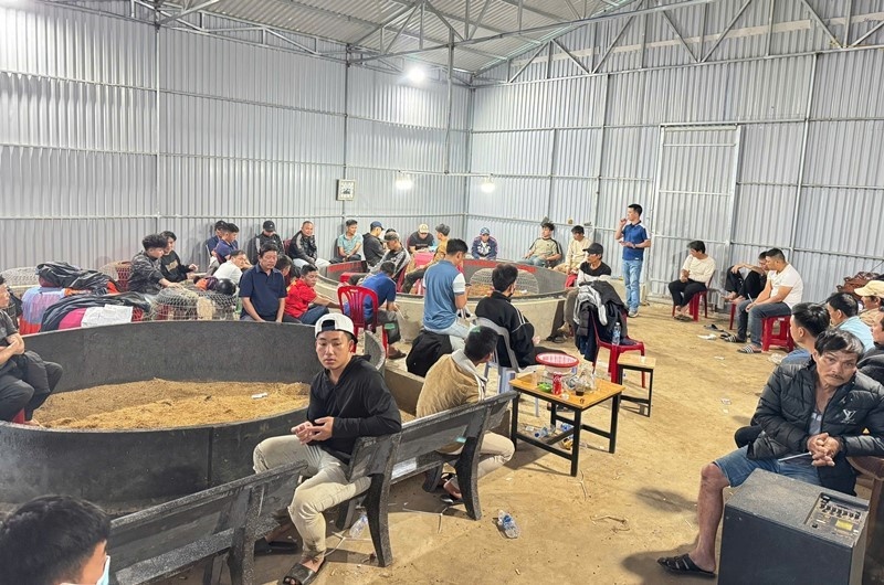 Triet pha tu diem da ga an tien, bat giu 50 doi tuong hinh anh