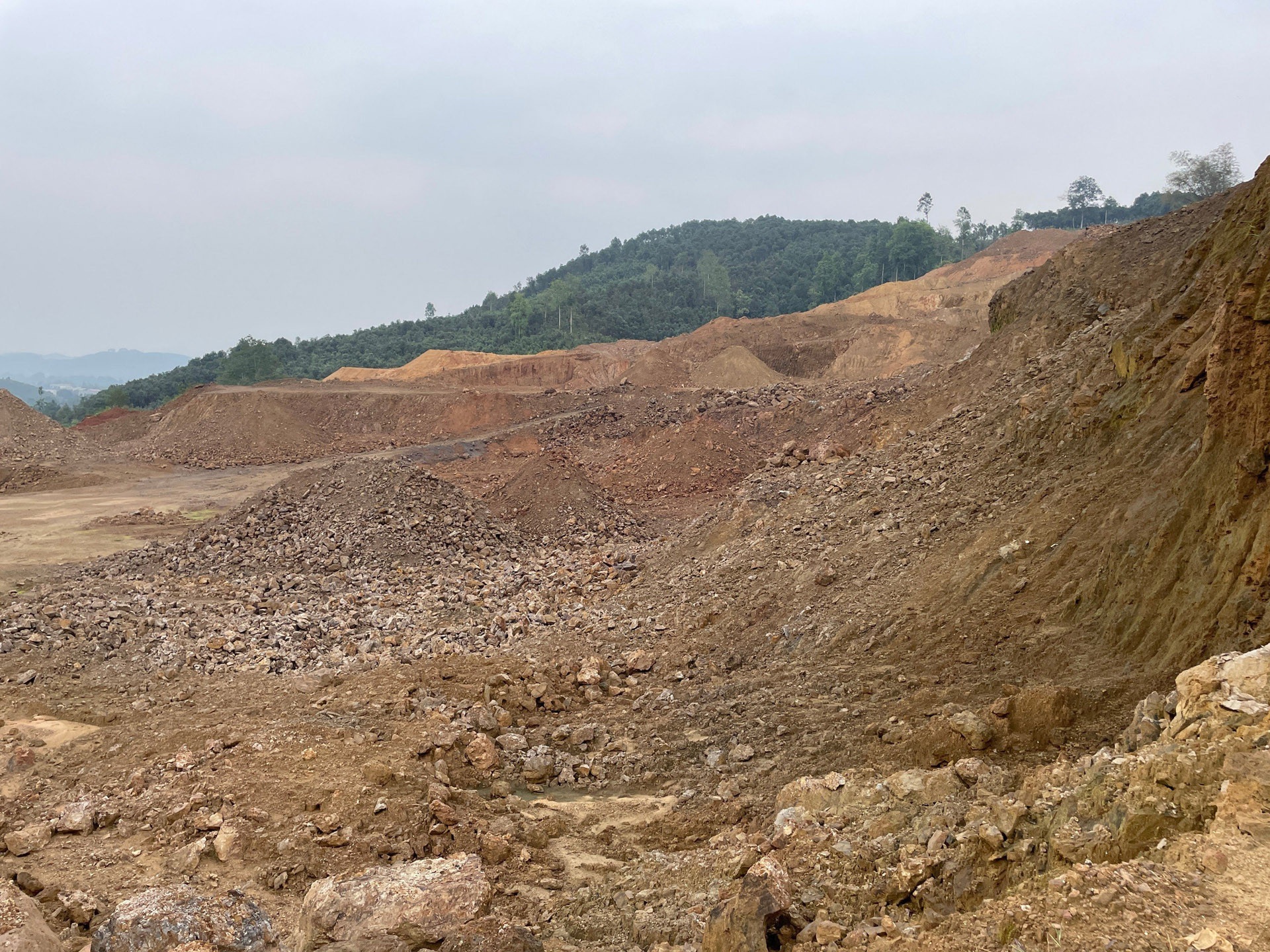 Luu Anh Tuan dat hiem anh 1