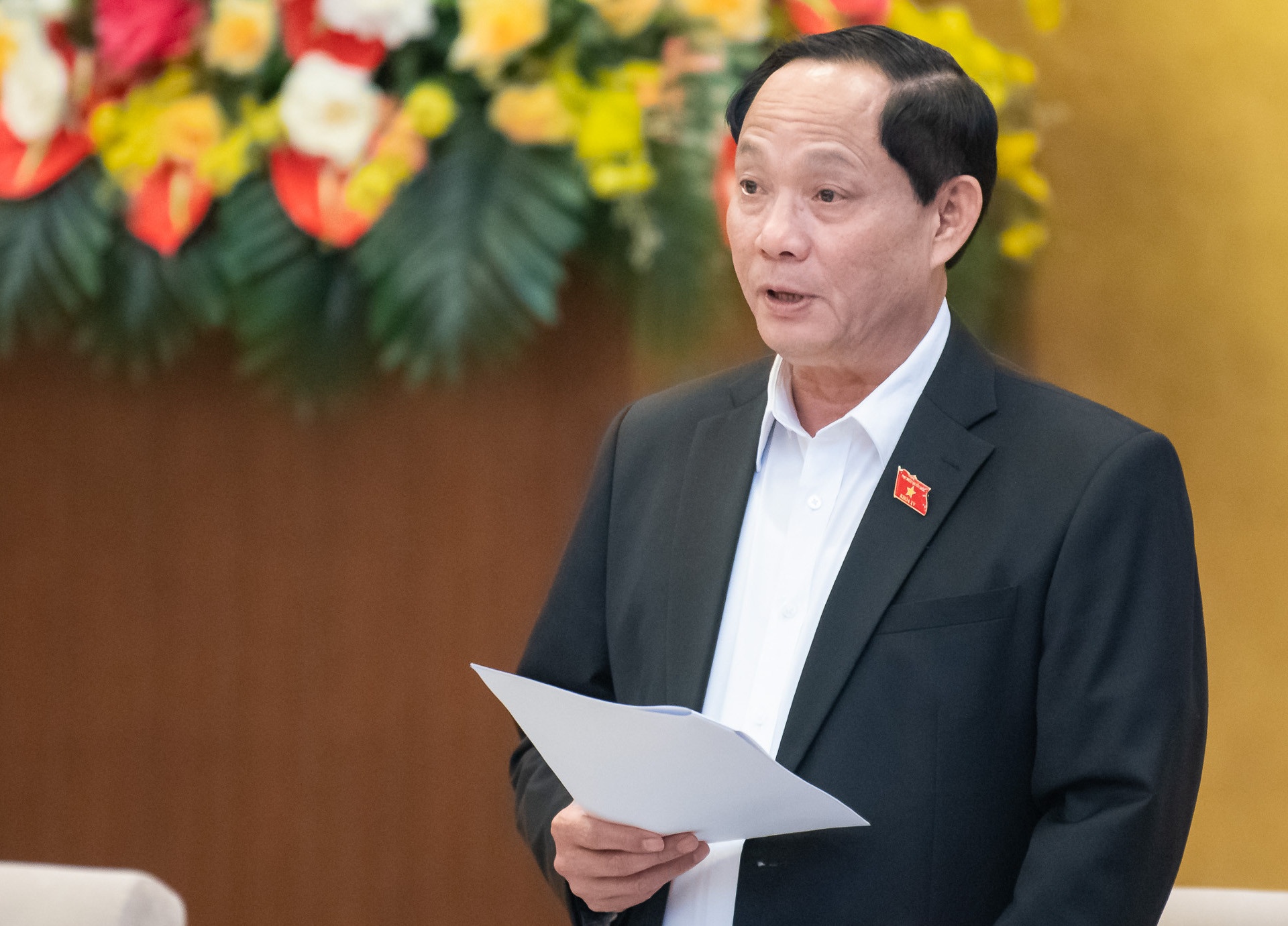 Pho chu tich Quoc hoi: Bo Cong an can kiem tra he thong den do hinh anh