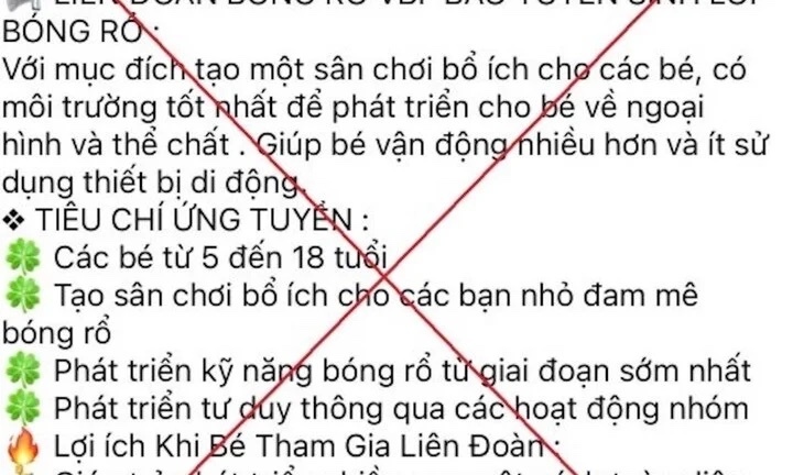 Dang ky hoc bong ro cho con tren mang, nguoi phu nu bi lua 1,1 ty dong hinh anh