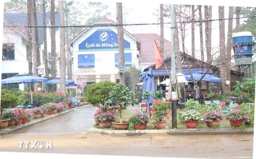 Tran Van Quynh Kon Tum anh 1