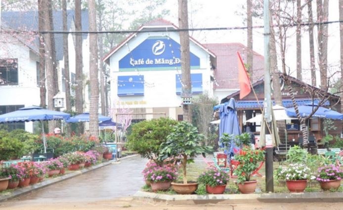 Hang loat nguoi to Bau Quynh co dau hieu lua dao hinh anh