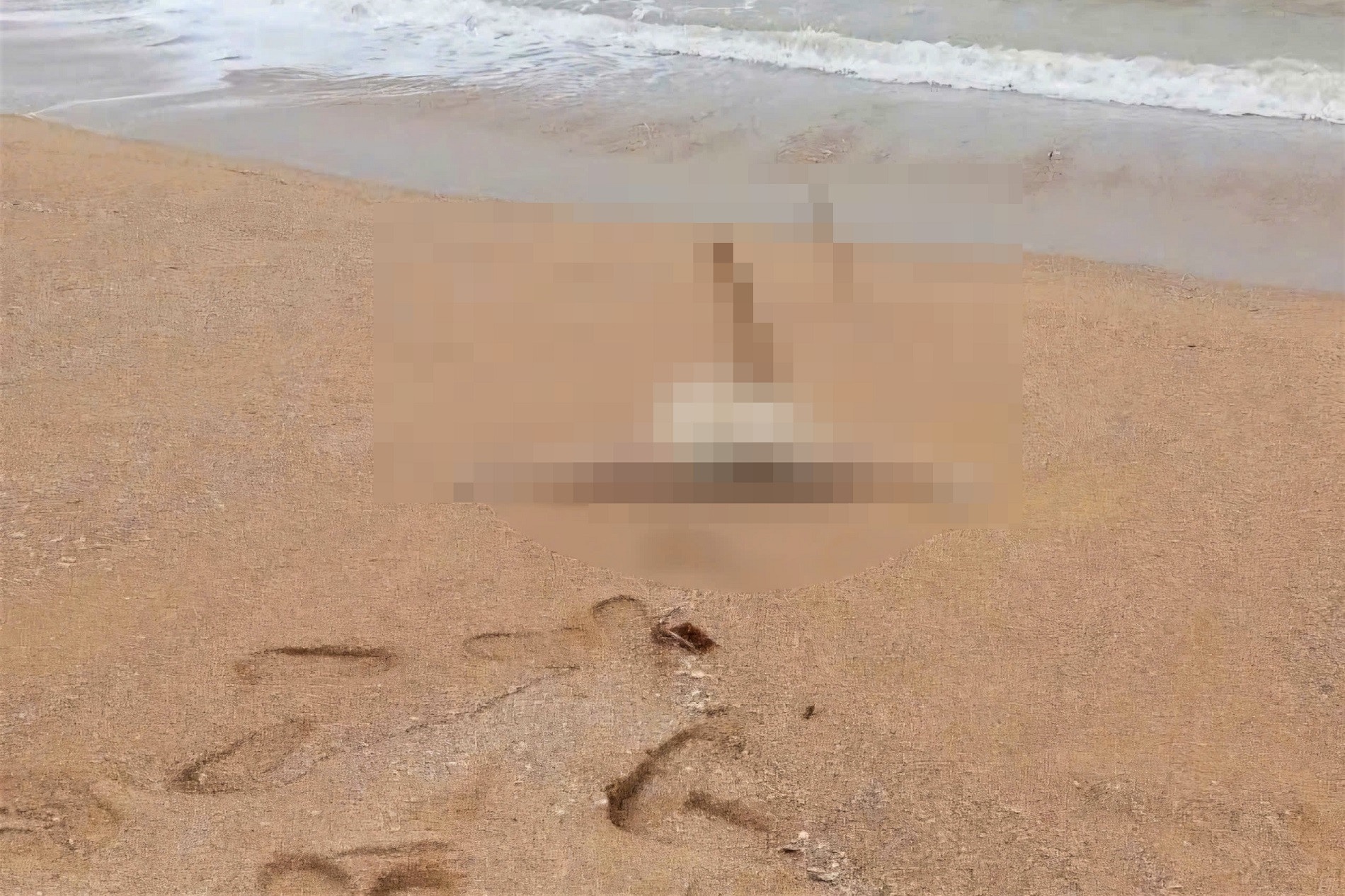 Chong phan xac vo anh 2