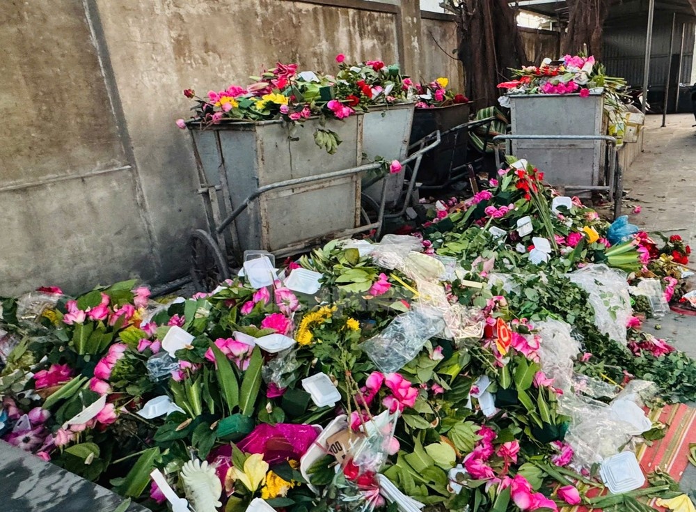 Hinh anh xau xi o 9 gieng den Co Chin hinh anh