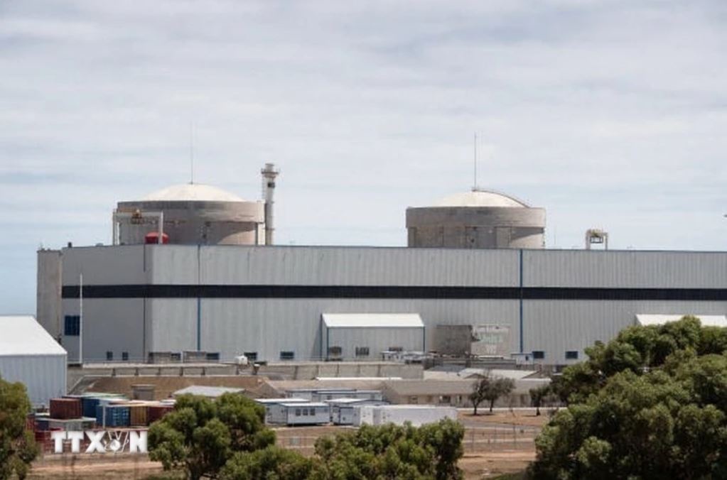 Dien hat nhan Nam Phi anh 1