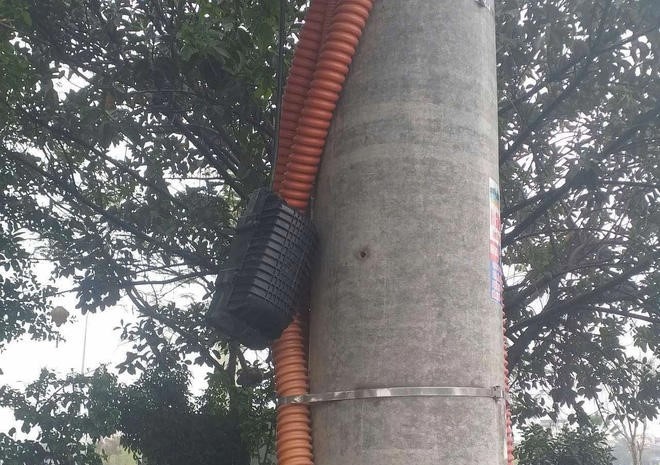 Cap cua SCTV tai Ninh Binh bi cat vi chay y tra no hinh anh