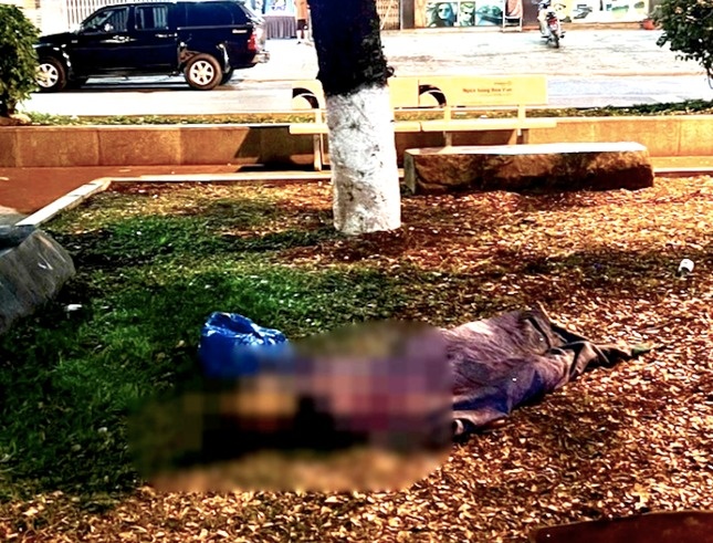 Phat hien nguoi dan ong tu vong duoi goc cay o cong vien hinh anh