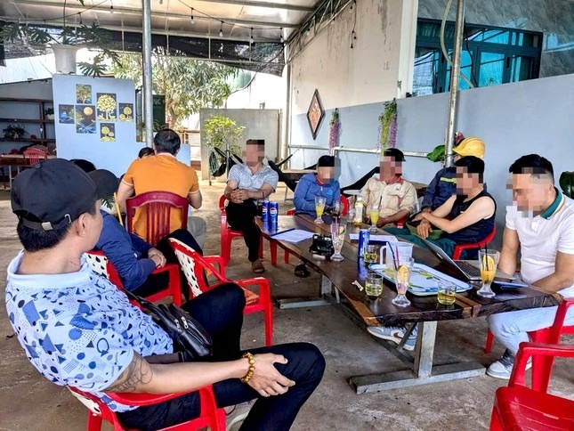 Tin moi vu dong bao hiem bang... ca phe o Gia Lai hinh anh