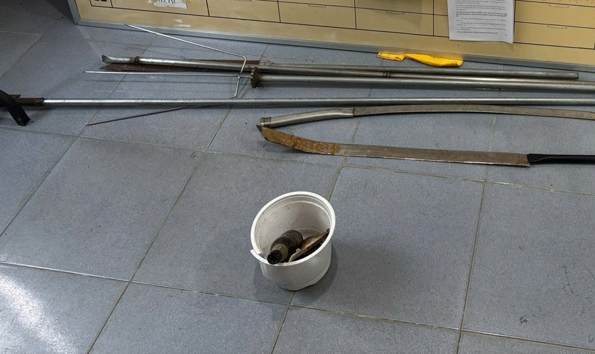 Hon chien Vung Tau anh 2