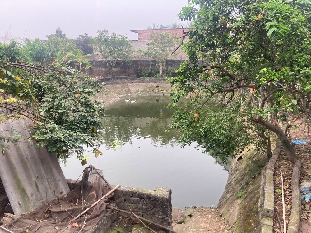 Hai be tu vong anh 1